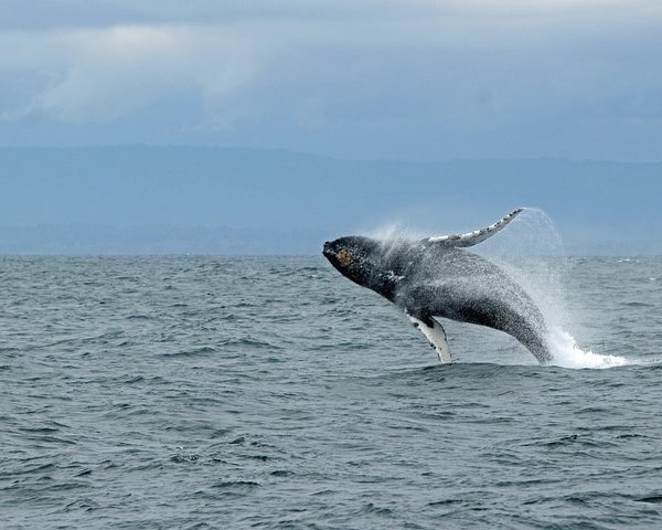 Misty Fjords National Monument (Ketchikan) - All You Need to Know ...