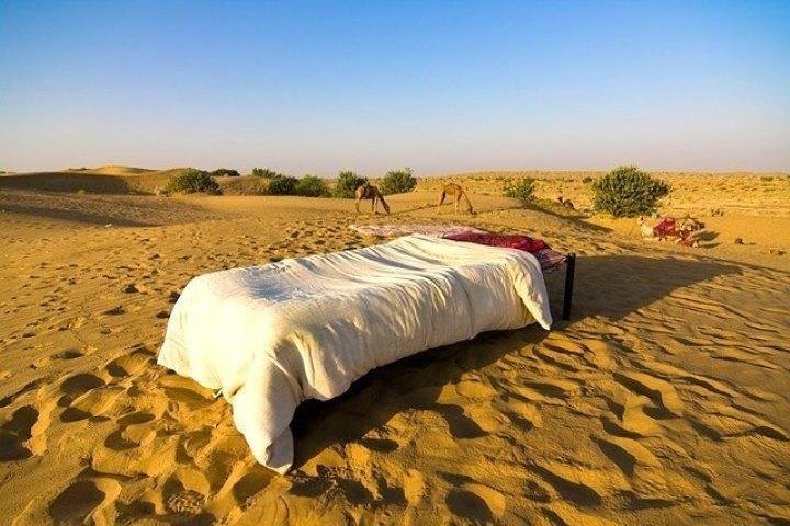 Desert National Park (Jaisalmer) - All You Need To Know BEFORE You Go ...