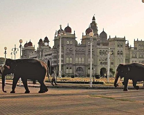 travel experience in mysore