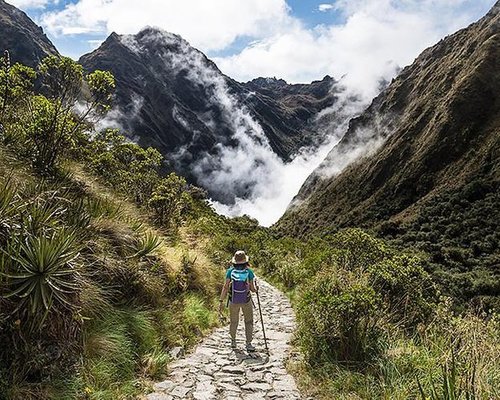 Inca Trail and Manu  8 days - Palotoa  Travel