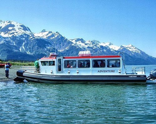 best shore excursions in haines alaska