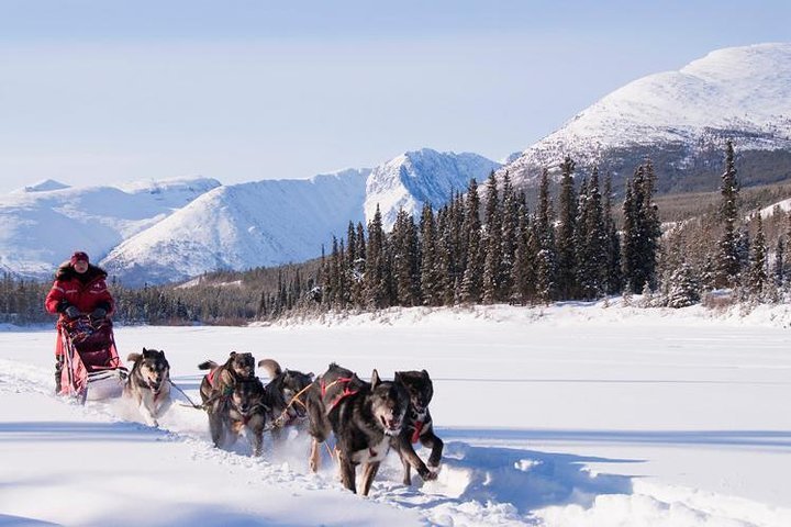 THE 15 BEST Things To Do In Whitehorse (Updated 2024)