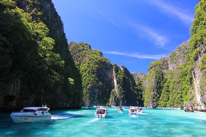 2024 Phi Phi Half Day Tour by speed boat provided by Phuketalltours