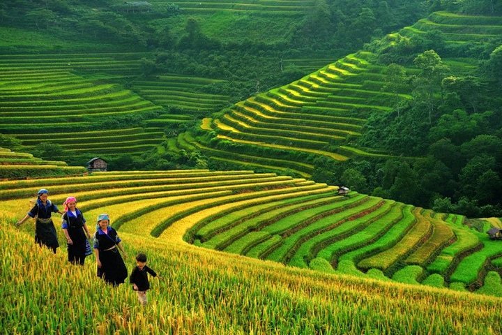 Sapa 2024 hiking tours