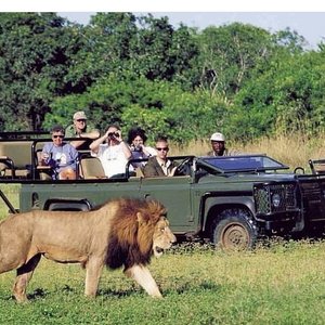 MOLOPO GAME RESERVE (North-West Province) - 2022 What to Know BEFORE You Go