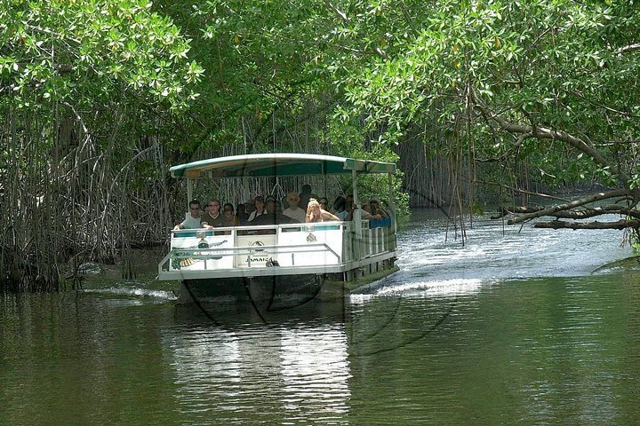 2024 Black River Safari and YS Falls Tour from Montego Bay