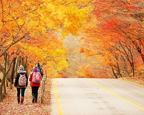 seoul family tour packages