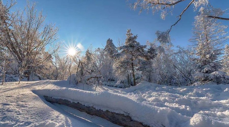 吉林北大湖，今日在零下30度下，雪地滿眼藍天白雲加上淞霧，不論白晝或是夜影，就像魔雪奇緣的場景，美得令人屏息。