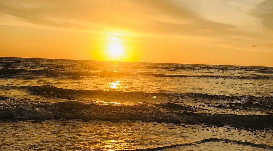 Cavelossim Beach: Your Ultimate Guide to Paradise in Goa Cavelossim Beach: Your Ultimate Guide to Paradise in Goa