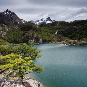 Parque Nacional Tierra Del Fuego Ushuaia 2021 All You Need To Know Before You Go With Photos Ushuaia Argentina Tripadvisor