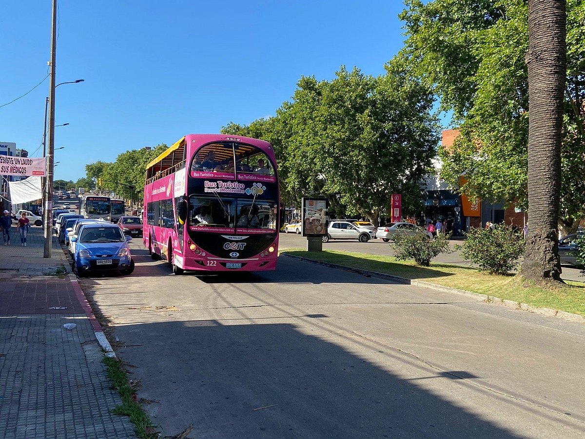 sightseeing tour bus montevideo