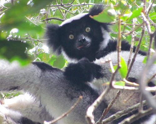 tour guide madagascar 2