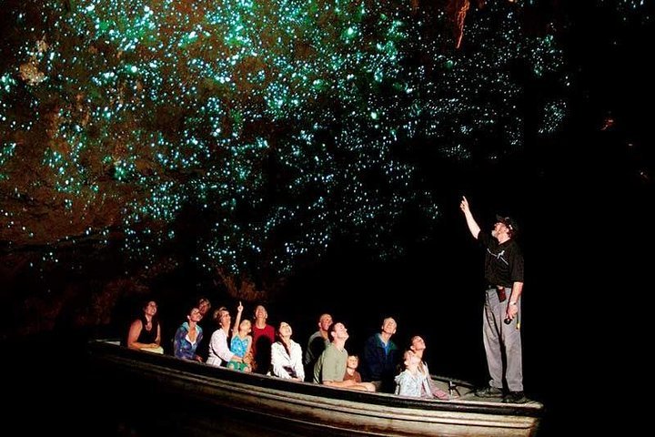 Waitomo Glowworm Caves (Waitomo Caves) - 2022 Alles Wat U Moet Weten ...