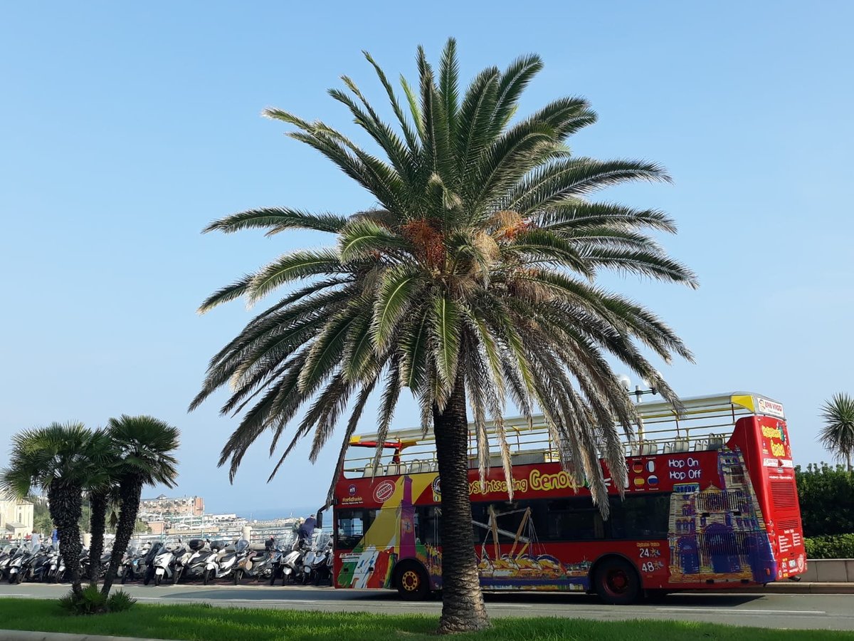 City Sightseeing (Genoa) - All You Need to Know BEFORE You Go