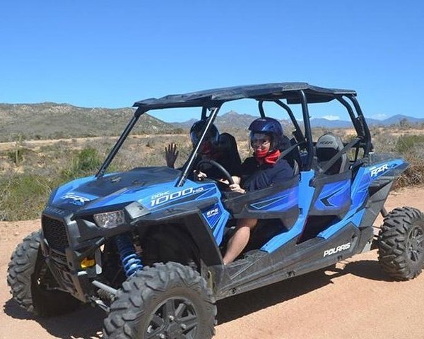 Beach Hopper Snorkeling Tour in Los Cabos | Cabo San Lucas, Mexico