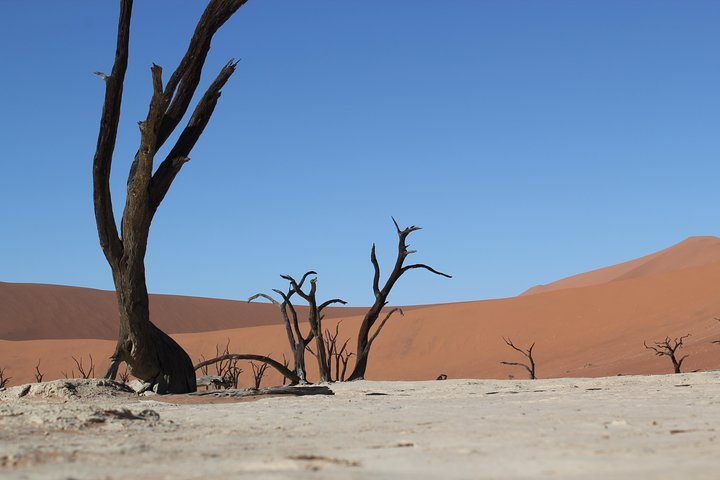 (Windhoek) Circuit Autonome De 6 Jours De Sossusvlei à Swakopmund (B ...