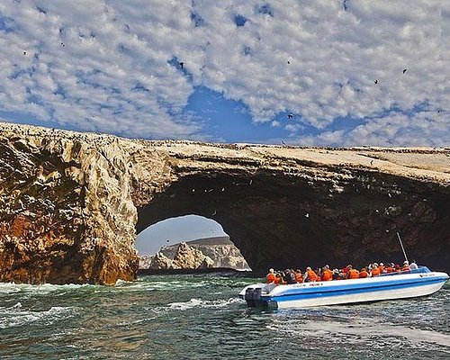 paracas boat tours