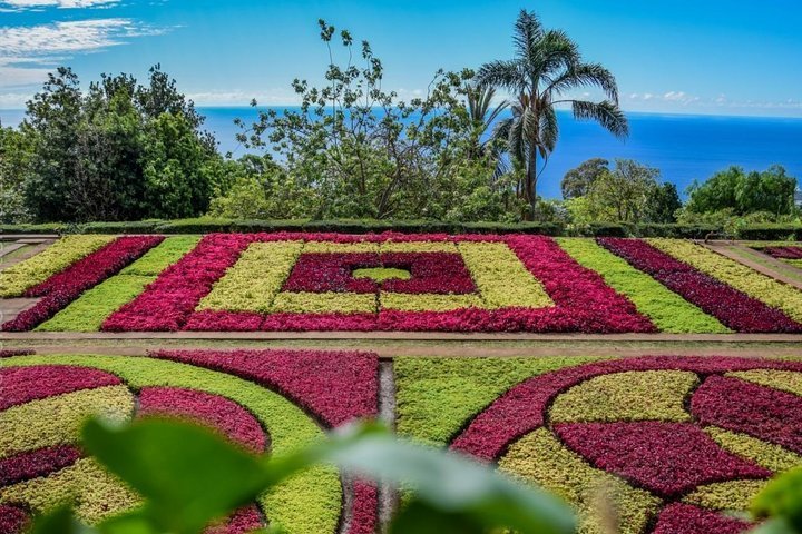 Túnel de luz no cais do Funchal volta a ser grande atracção —