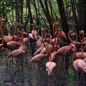 O Moinho De Vento Quebrado Velho Serve Agora Como a Exploração Agrícola Do  Rancho Do Aviário Imagem de Stock - Imagem de alternativa, terra: 36649937