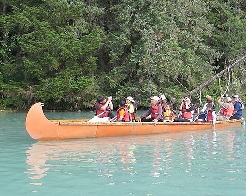 best shore excursions in haines alaska
