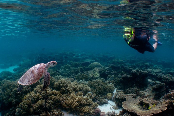 2023 3 Night Ningaloo Reef Snorkel And Dive Getaway From Coral Bay