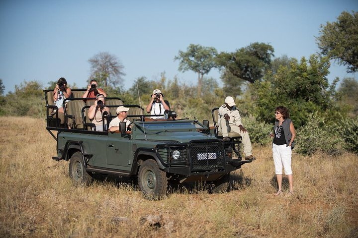 2024 (Kruger National Park) 9-Day Privately Guided Best of Kruger Park ...