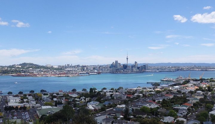 2024 Half-Day: Small Group Auckland Scenic Tour - 4 HOURS