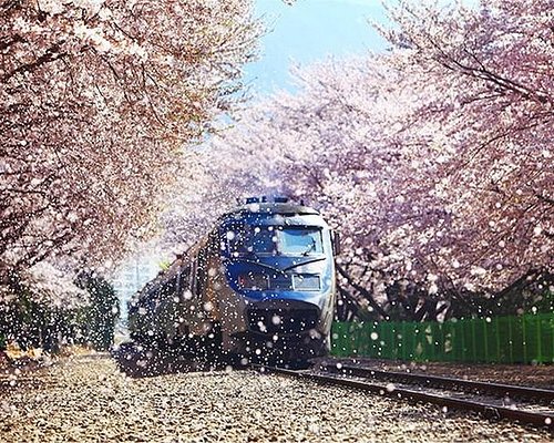 seoul family tour packages