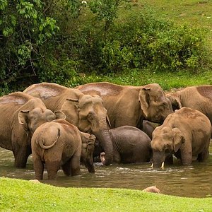 kodaikanal tourist spot image