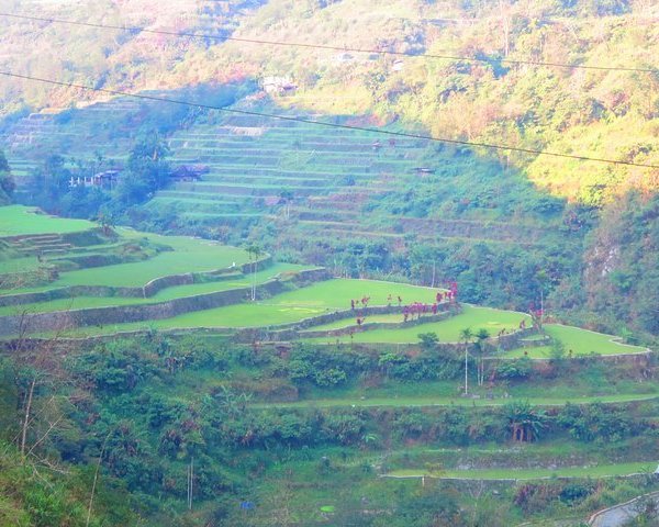 Batad Rice Terraces Banaue All You Need To Know Before You Go 0611