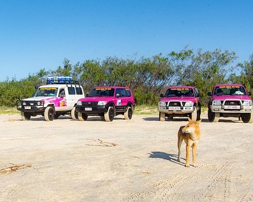 fraser island explorer day tour