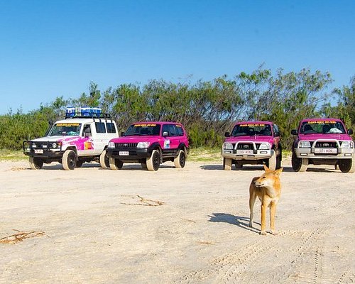 fraser island tour book