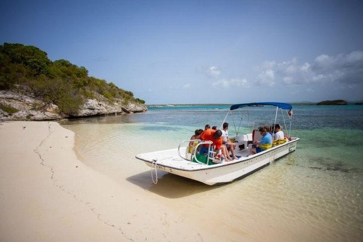 2023 Island Safari And Stingray City Provided By Nexustours Antigua