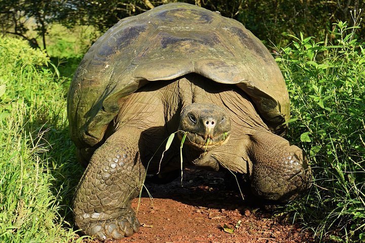 2023 7-Day The Best of Galapagos Adventure