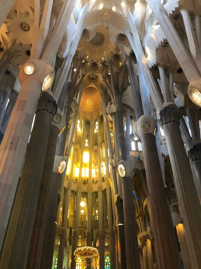 Imagen 12 de Gaudi Sagrada Familia