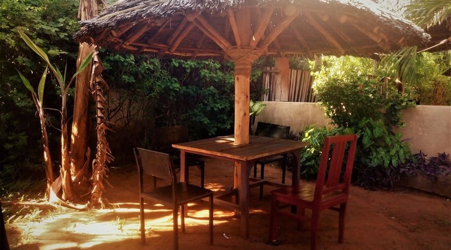 Chilled outdoor shades 