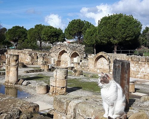 cyprus tours from nicosia