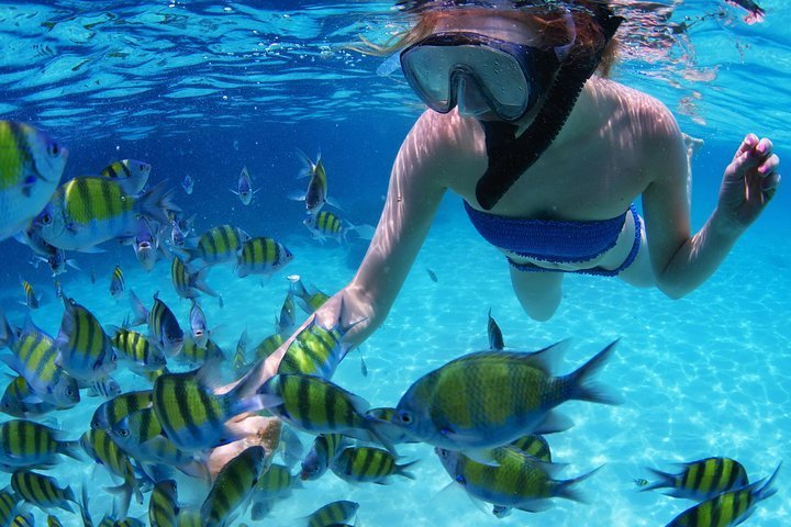 2024 From Dubai: Snorkeling trip in Fujairah