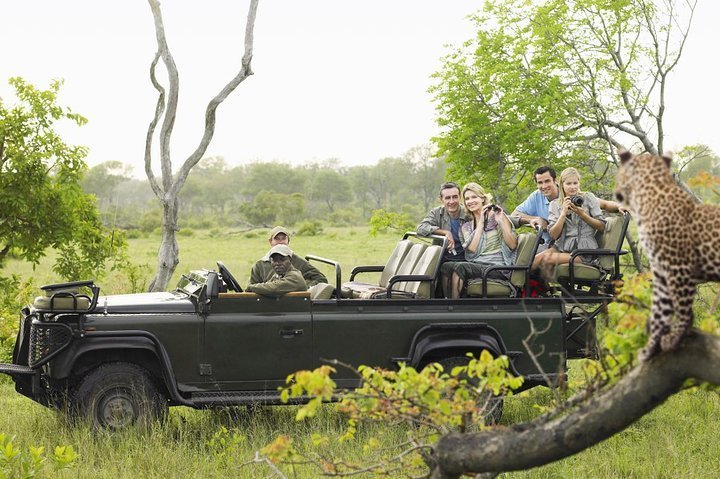 2024 Sandton 3 Day Kruger Park Tour From Johannesburg   Caption 