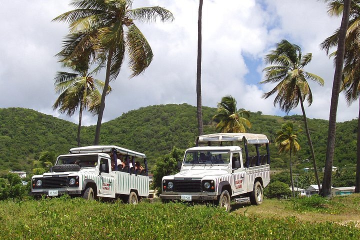 island safari gold antigua