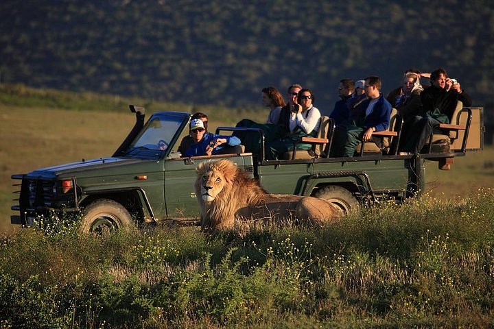 safari experience price