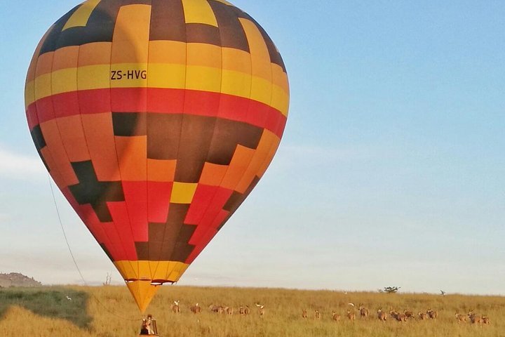 Hot air on sale balloon gauteng