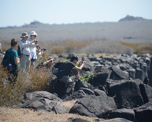 eco tourism in galapagos