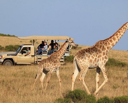 Answers to destination confusion. Western Cape tourism regions - The  Roaming Giraffe