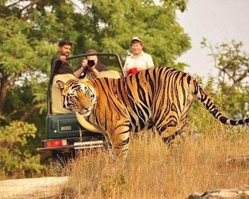 jaipur day tour package