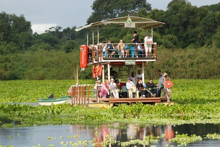 Passeios no Pantanal: 8 Lugares Que Vale a Pena Incluir no Roteiro