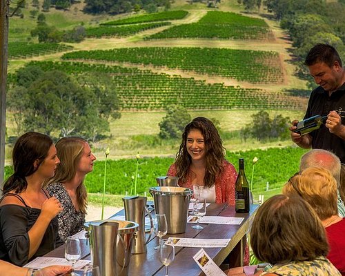 best wine tours hunter valley