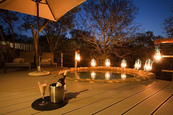 THE 10 BEST Kruger National Park Multi Day Tours Updated 2024