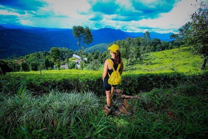 2023 Overnight All-Inclusive Tea Plantation Adventure In Kandy