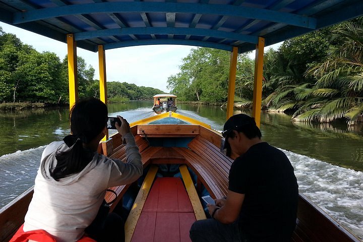 brunei monkey tour